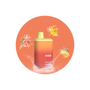 Kizz Bar 5000 Puff 
